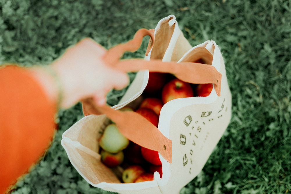 Bag full of groceries